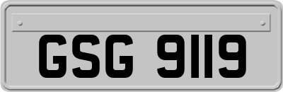 GSG9119