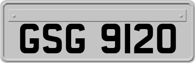 GSG9120
