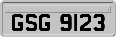 GSG9123