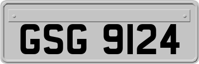 GSG9124