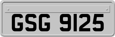 GSG9125