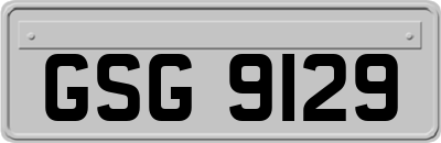 GSG9129