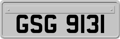 GSG9131
