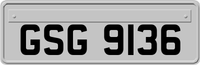 GSG9136