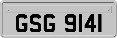 GSG9141