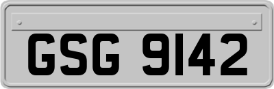 GSG9142