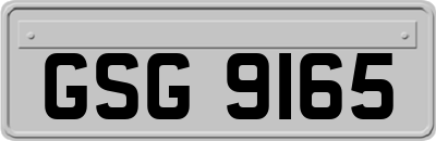 GSG9165