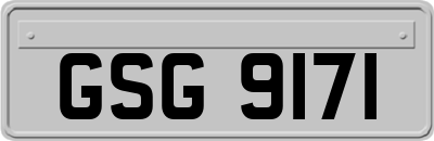 GSG9171