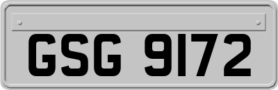GSG9172