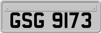 GSG9173