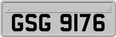 GSG9176