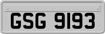 GSG9193