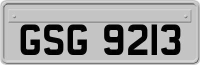 GSG9213