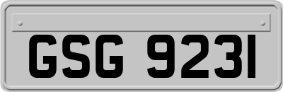 GSG9231