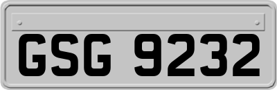 GSG9232