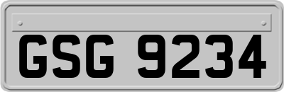 GSG9234