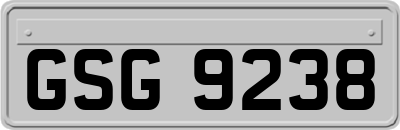 GSG9238