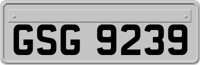 GSG9239