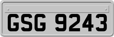 GSG9243
