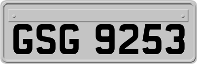 GSG9253