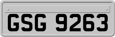 GSG9263
