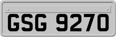 GSG9270
