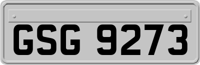 GSG9273