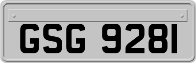 GSG9281