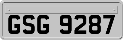 GSG9287