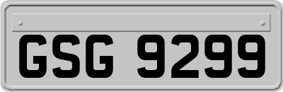 GSG9299
