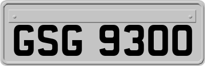 GSG9300