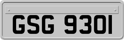 GSG9301