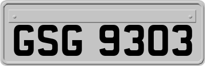 GSG9303