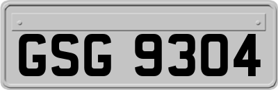 GSG9304