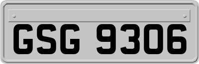 GSG9306