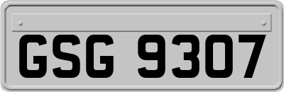 GSG9307