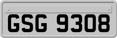 GSG9308