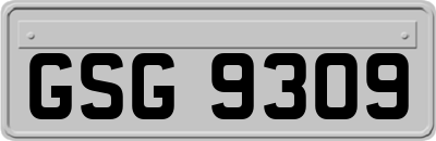 GSG9309