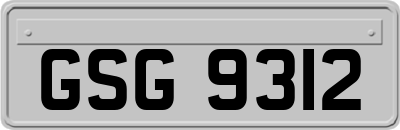 GSG9312