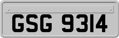 GSG9314