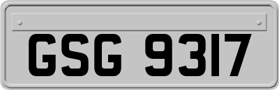 GSG9317