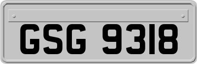 GSG9318