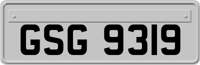 GSG9319