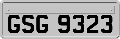 GSG9323