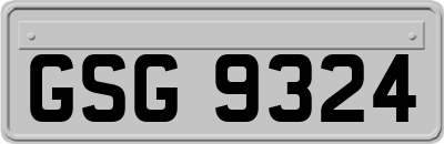 GSG9324