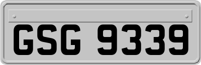 GSG9339