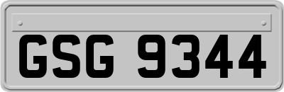 GSG9344