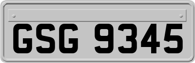 GSG9345