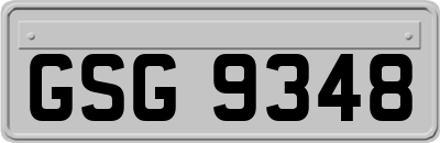 GSG9348