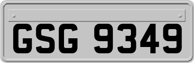 GSG9349